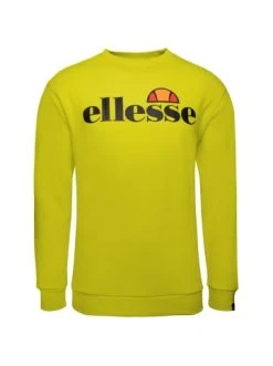 Aktion 🎉 Sweat & Fleece Ellesse Sweatshirt Small Logo Succiso In Gruen Günstig Kaufen 🌟